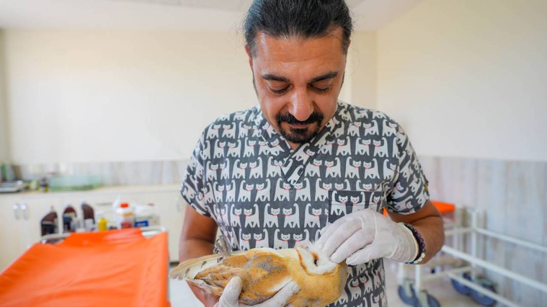 Diyarbakır’da annelerini kaybeden 4 baykuş için heyecanlı bekleyiş 10